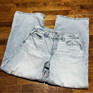 American Eagle Low-Rise Ultra Wide Leg Jeans Size 0